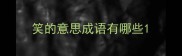 笑的意思成语有哪些