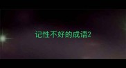 记性不好的成语