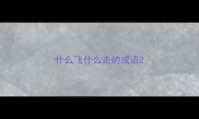 什么飞什么走的成语