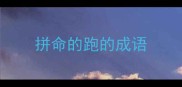 拼命的跑的成语