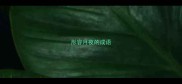 形容月夜的成语