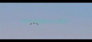 晴字成语是什么成语