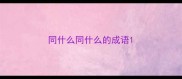 同什么同什么的成语