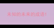 未知的未来的成语
