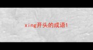 xing开头的成语