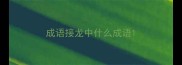 成语接龙中什么成语