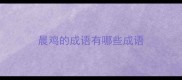 晨鸡的成语有哪些成语