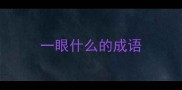 一眼什么的成语