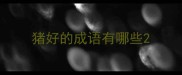 猪好的成语有哪些