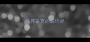 胸怀最宽的成语是