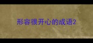 形容很开心的成语