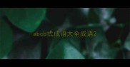 abcb式成语大全成语