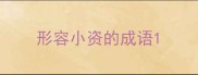 形容小资的成语
