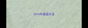2014年成语大会