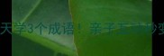 成语接龙终极指南每天学3个成语亲子互动秒变学霸附趣味挑战表