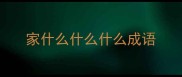 家什么什么什么成语