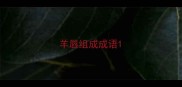 羊唇组成成语
