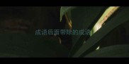 成语后面带除的成语