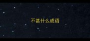不甚什么成语