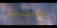 相什么错的成语