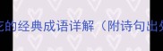 20个形容丁香花的经典成语详解附诗句出处与使用场景
