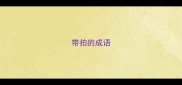 带拍的成语