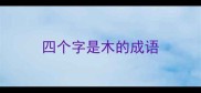四个字是木的成语