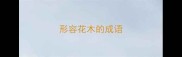 形容花木的成语