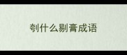 刳什么剔膏成语