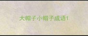 大帽子小帽子成语