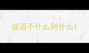 成语不什么则什么