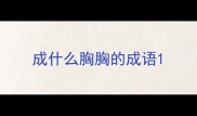 成什么胸胸的成语
