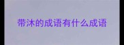 带沐的成语有什么成语