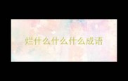 烂什么什么什么成语