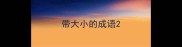 带大小的成语