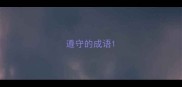遵守的成语