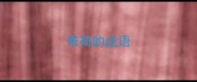 带荷的成语