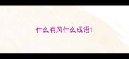 什么有风什么成语