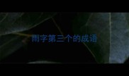 雨字第三个的成语