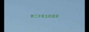 第三字是玉的成语
