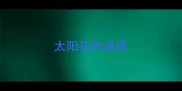 太阳花的成语