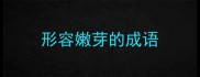 形容嫩芽的成语
