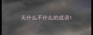 无什么不什么的成语