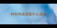 材和用成语是什么成语