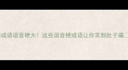 成语谐音梗大这些谐音梗成语让你笑到肚子痛