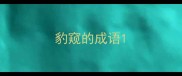 豹窥的成语