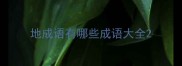 地成语有哪些成语大全