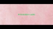 两马的成语是什么成语