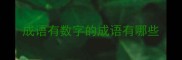 成语有数字的成语有哪些