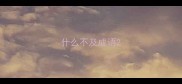 什么不及成语